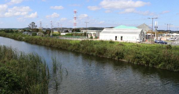 テレビ番組企画で用水路の水、ぜんぶ抜こうとしたら…ブラックバス釣り人が猛反発。「外来種も生物」と市役所に抗議電話殺到。茨城県